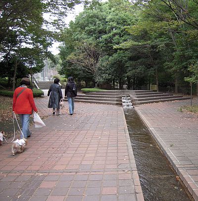 e0108126_218514.jpg