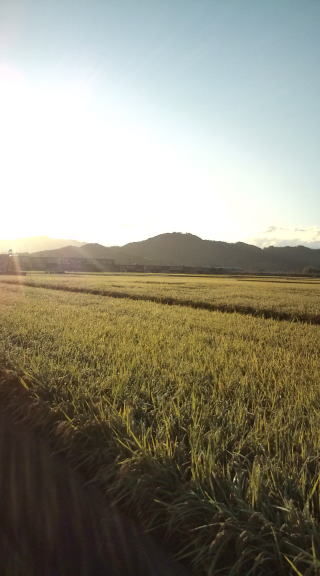 c0113733_22594611.jpg