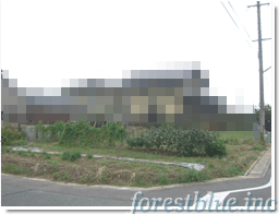 c0217535_1684570.gif