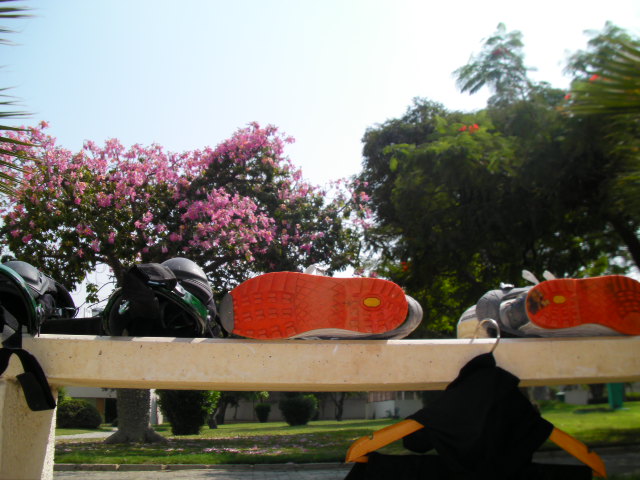 d0111435_23764.jpg