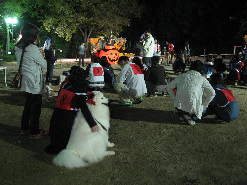 ちょっと早いハロウィンだよ~_b0177436_2355155.jpg