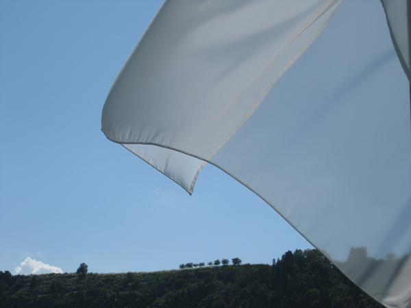 d0048837_224543.jpg