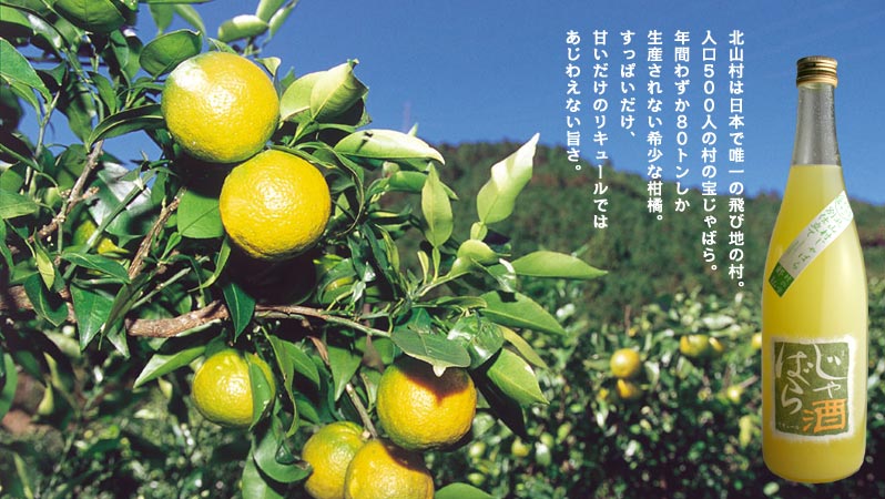 殿堂入り♪_e0173738_20423818.jpg