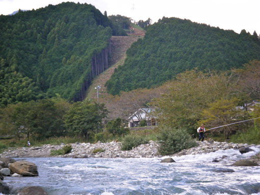 a0056140_873237.jpg