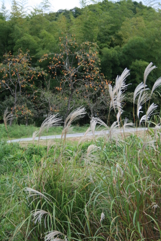 b0168840_22411919.jpg