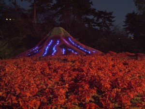 浜名湖立体花博_c0119142_6103498.jpg