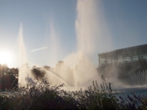 c0119142_614090.jpg