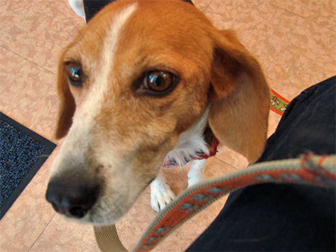 c0086746_00369.jpg