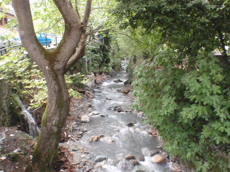 c0117848_19354939.jpg