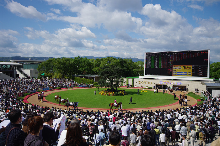 京都競馬場..._f0152550_18323680.jpg