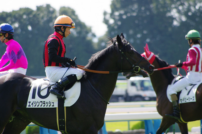 京都競馬場..._f0152550_18334670.jpg