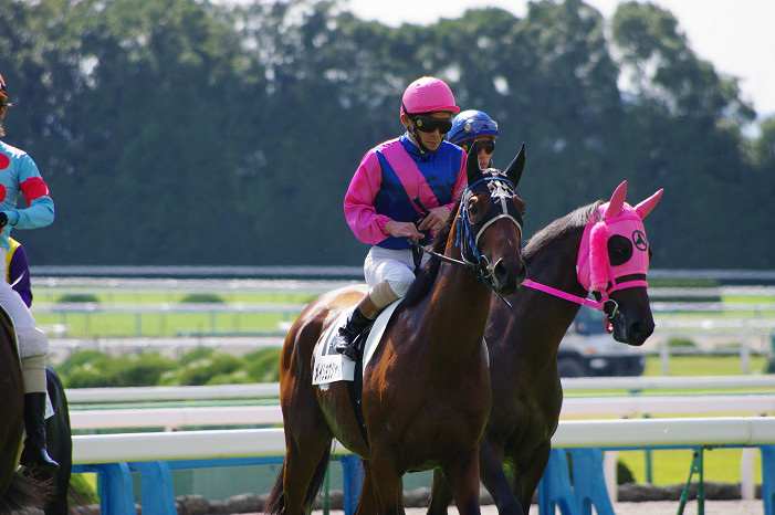 京都競馬場..._f0152550_18335265.jpg