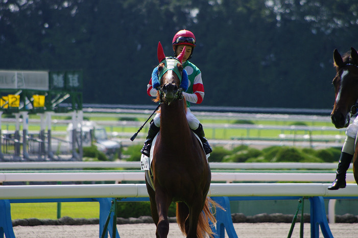 京都競馬場..._f0152550_1834044.jpg