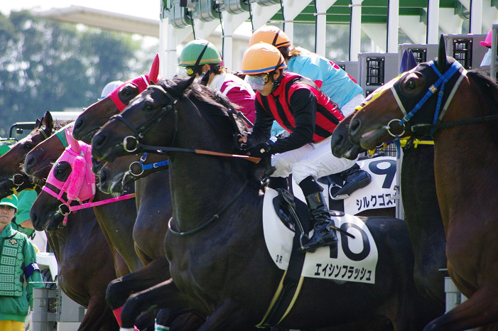 京都競馬場..._f0152550_18341383.jpg