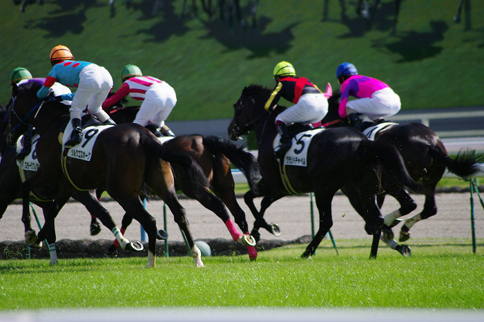 京都競馬場..._f0152550_18341858.jpg