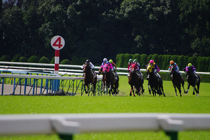 京都競馬場..._f0152550_18342490.jpg