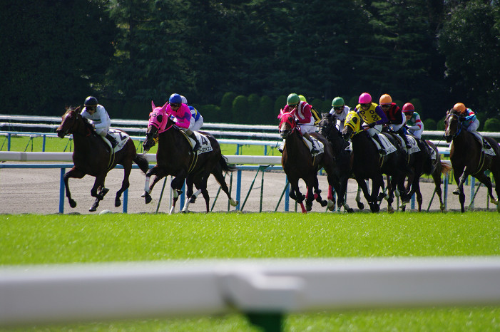 京都競馬場..._f0152550_18342936.jpg