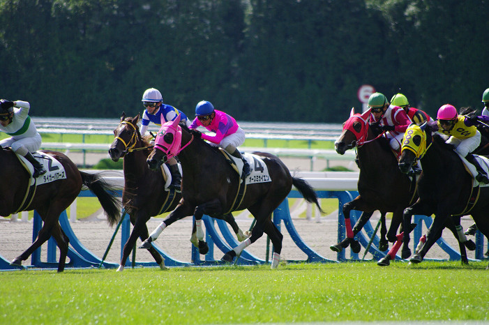 京都競馬場..._f0152550_18343738.jpg
