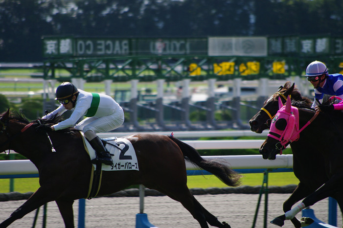京都競馬場..._f0152550_18344317.jpg