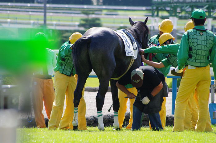 京都競馬場..._f0152550_1834696.jpg