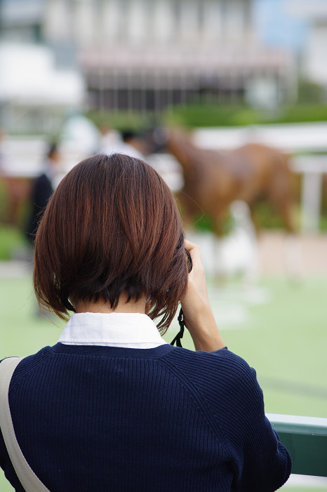 京都競馬場..._f0152550_18374121.jpg