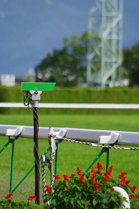 京都競馬場..._f0152550_18375599.jpg