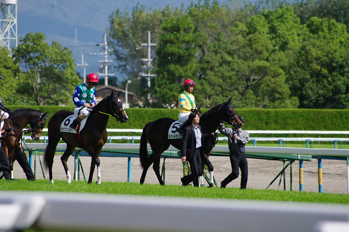 京都競馬場..._f0152550_18381530.jpg