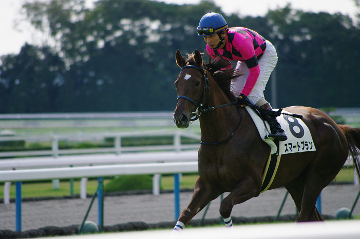 京都競馬場..._f0152550_18382177.jpg