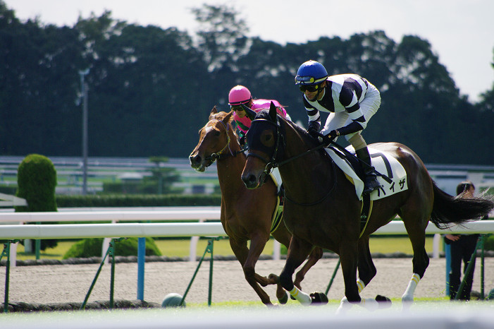 京都競馬場..._f0152550_18382780.jpg