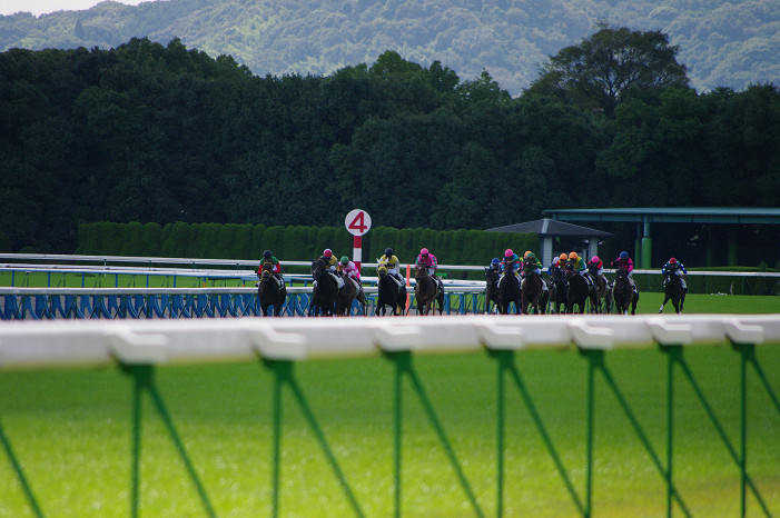 京都競馬場..._f0152550_18384727.jpg