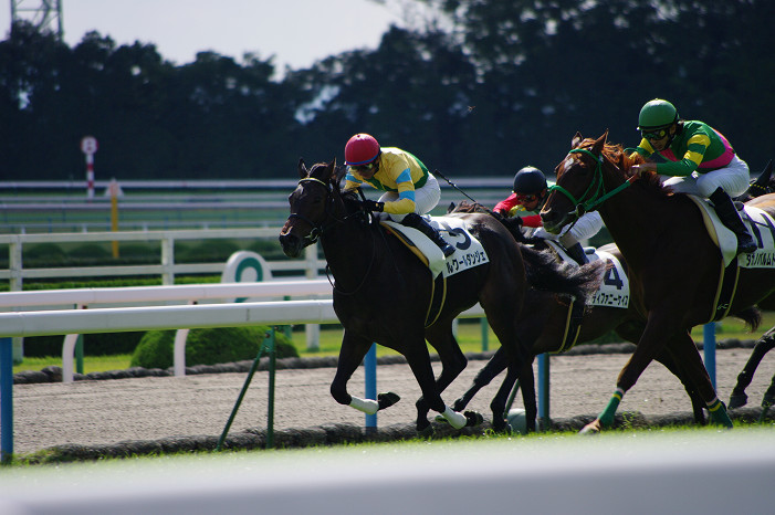 京都競馬場..._f0152550_1839110.jpg
