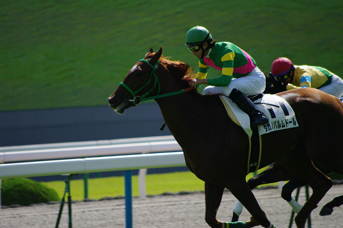 京都競馬場..._f0152550_18391687.jpg