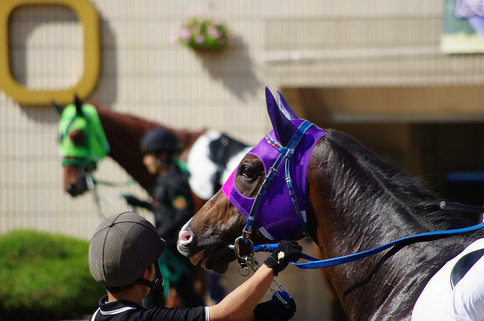 京都競馬場..._f0152550_18394916.jpg