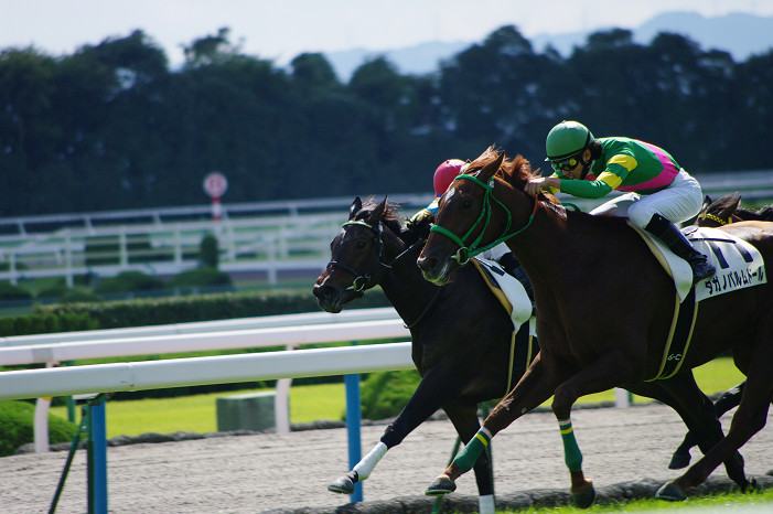 京都競馬場..._f0152550_1839836.jpg