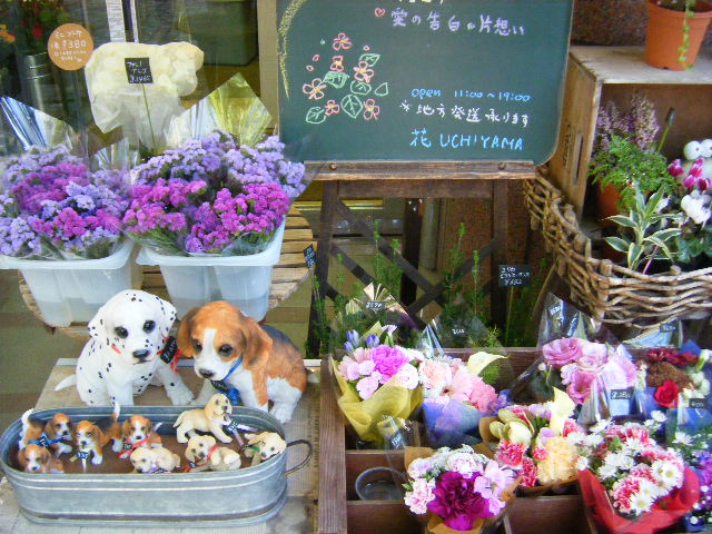 平凡であることの幸せ_b0077451_002814.jpg