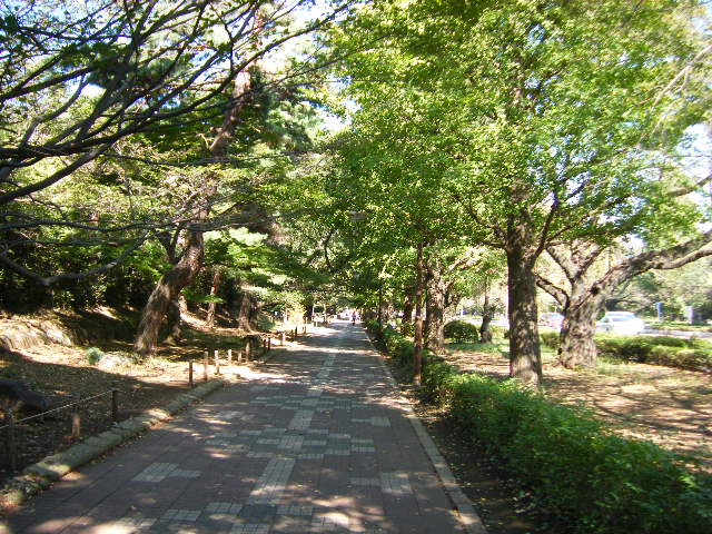 平凡であることの幸せ_b0077451_23562593.jpg