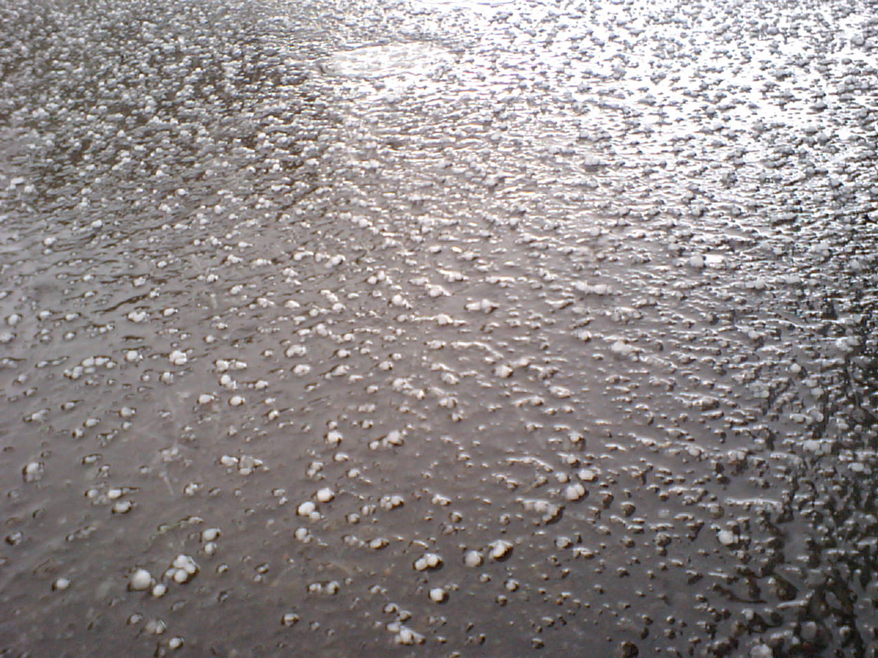 d0098665_18514339.jpg