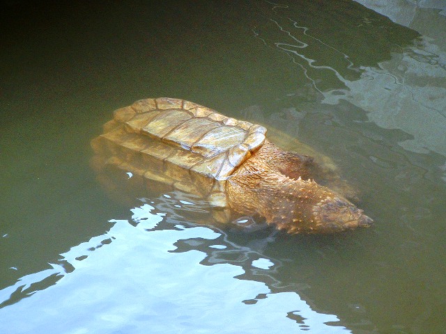 c0105569_417241.jpg