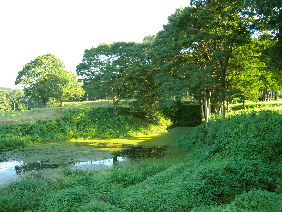 鉢形城(続)_e0033570_8183615.jpg