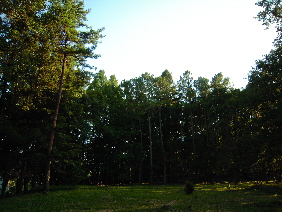 鉢形城(続)_e0033570_8222150.jpg