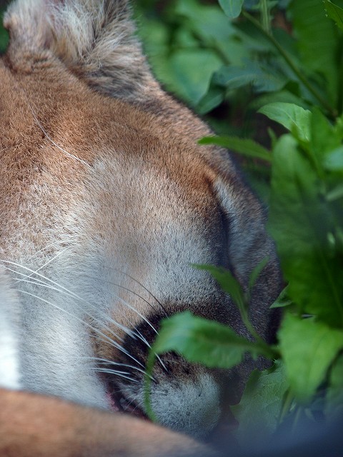b0145677_2122508.jpg