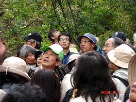 No.0510　軽井沢千ヶ滝・植物観察会_f0104277_178311.jpg