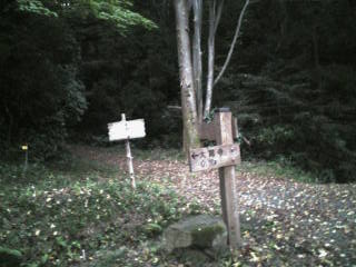 a0087378_4481916.jpg