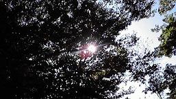 f0098680_154472.jpg