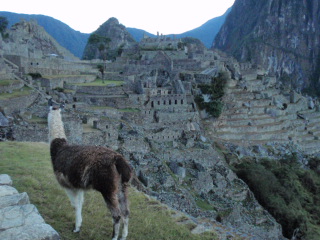 Machupichu_e0150782_0343112.jpg