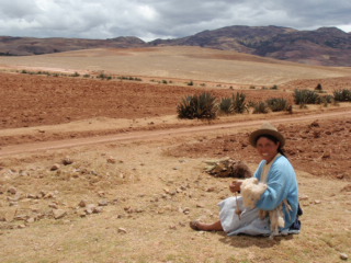 e0150782_0434286.jpg