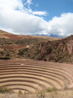 e0150782_043526.jpg