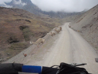 Lares_e0150782_10369.jpg