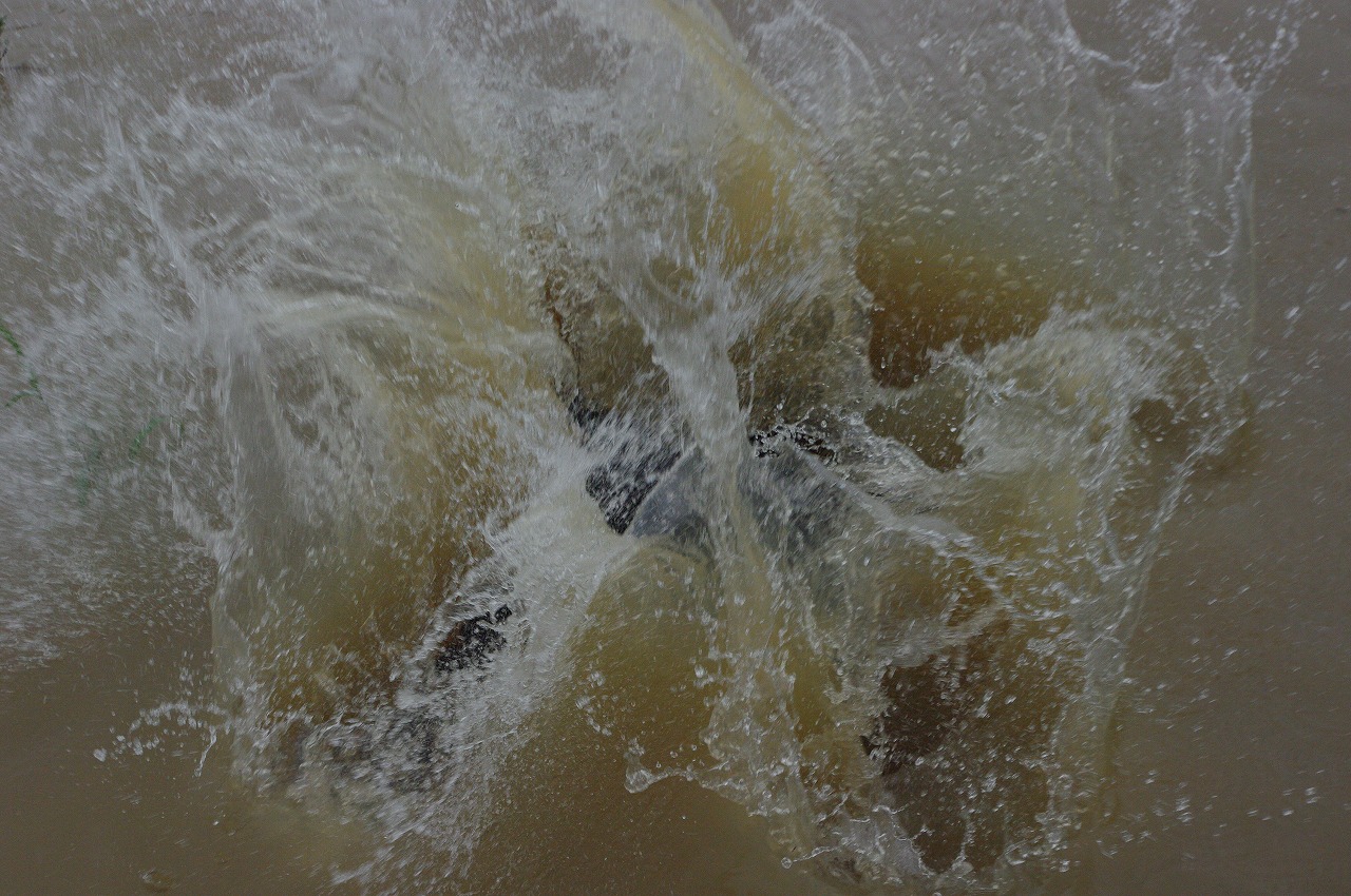 b0183583_23541528.jpg