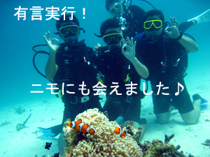 ラチャヤイ島で体験ダイビング♪_f0144385_2131861.jpg
